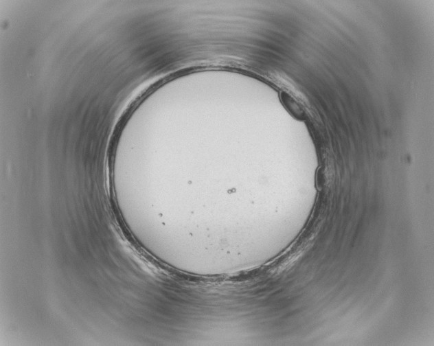 X0000069810940200606161846