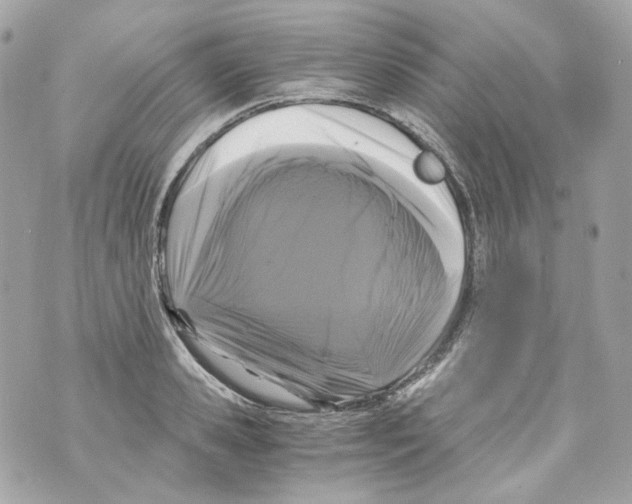 X0000069810941200606161846