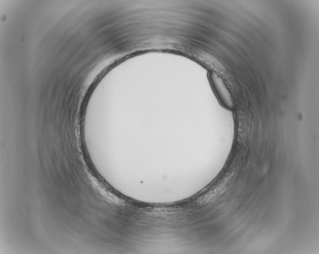 X0000069810942200606161846