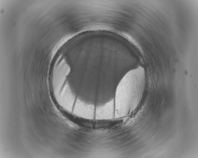 X0000069810943200606161846