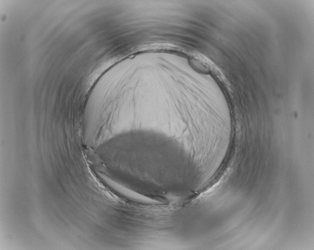 X0000069810945200606161846