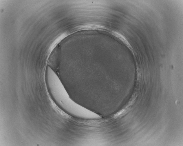 X0000069810946200606161846