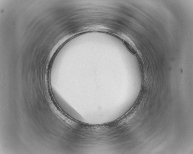 X0000069810947200606161846