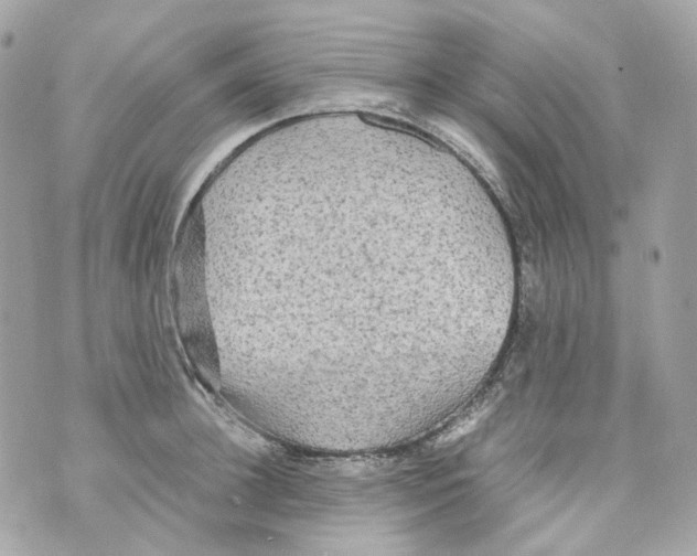 X0000069810948200606161846