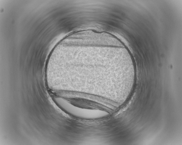 X0000069810949200606161846