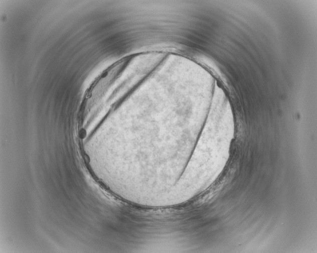 X0000069810952200606161846