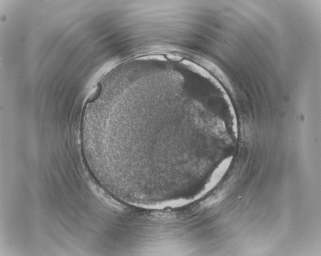 X0000069810954200606161846