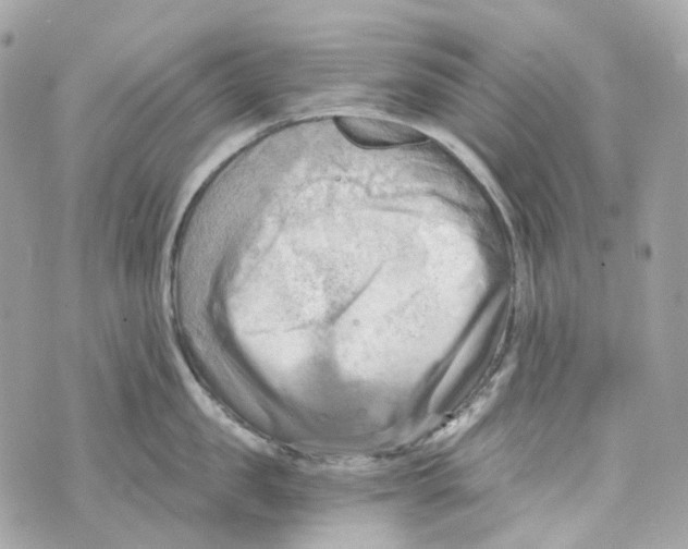 X0000069810957200606161846