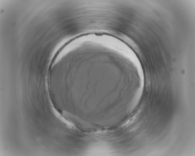 X0000069810958200606161846