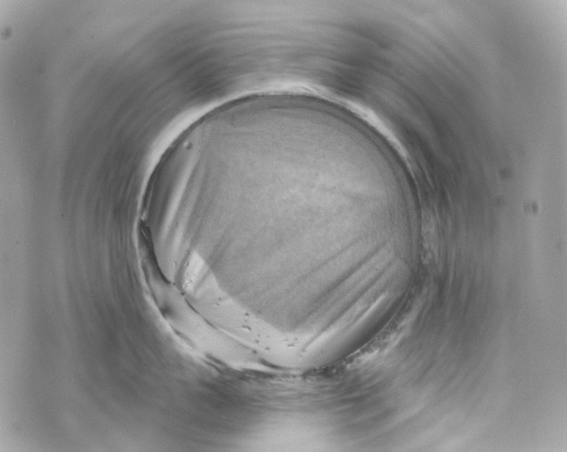 X0000069810959200606161846