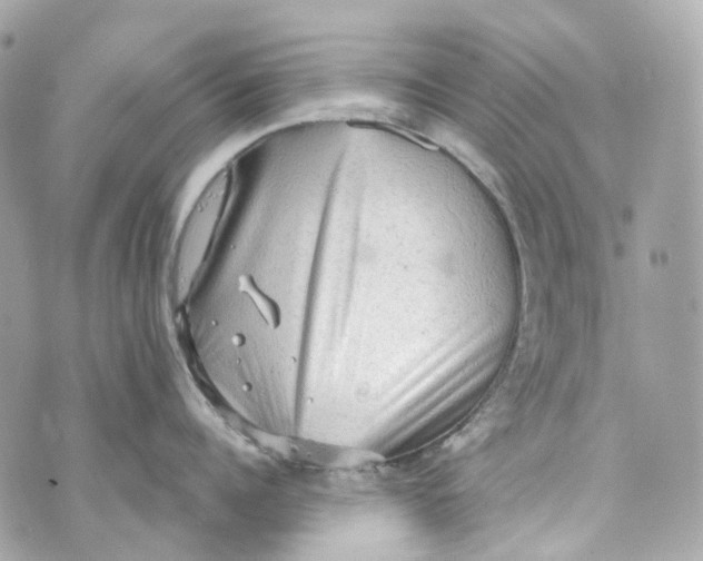 X0000069810960200606161846