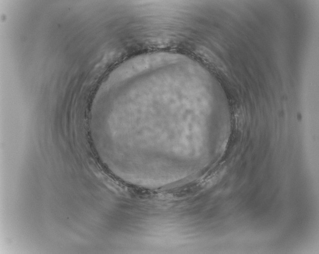 X0000069810961200606161845