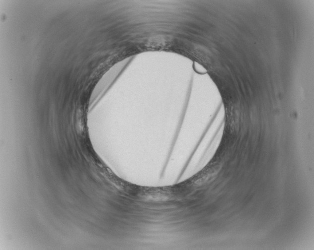 X0000069810962200606161845