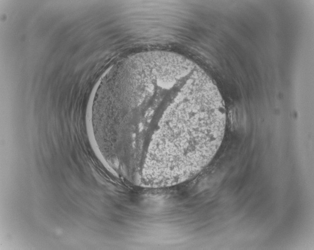 X0000069810963200606161845