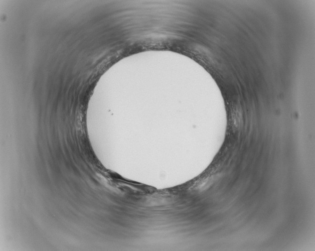 X0000069810964200606161845