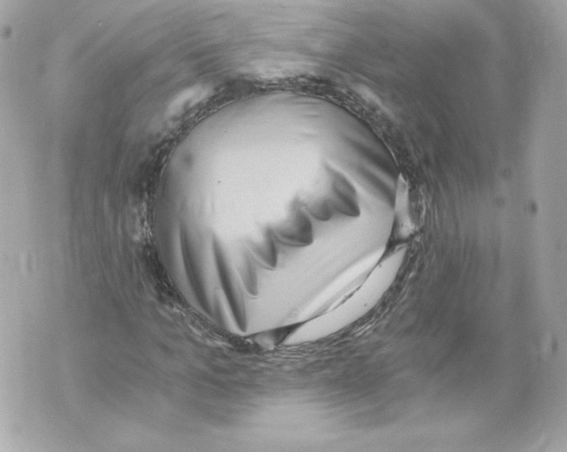 X0000069810965200606161845