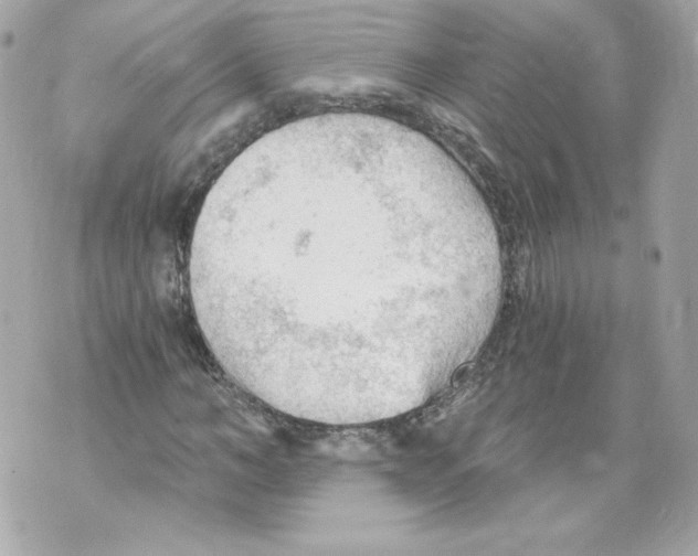 X0000069810966200606161845