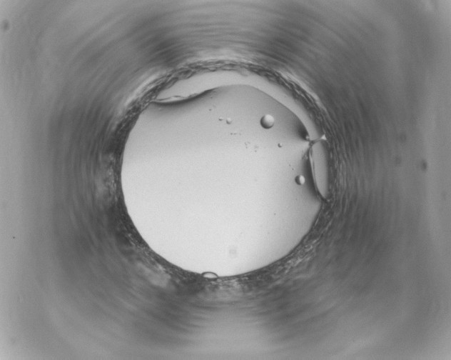 X0000069810968200606161845