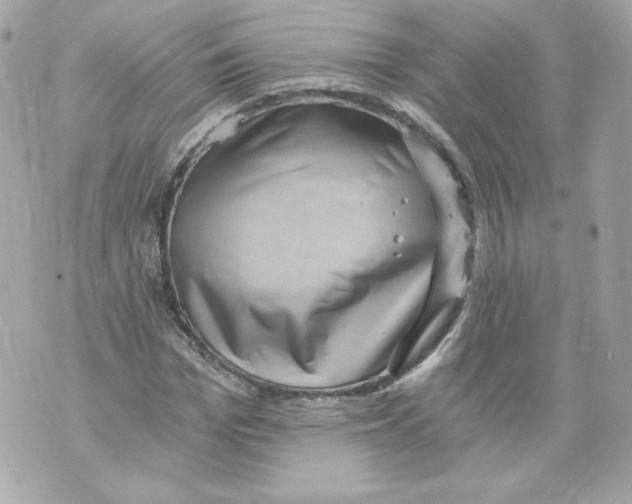 X0000069810969200606161845