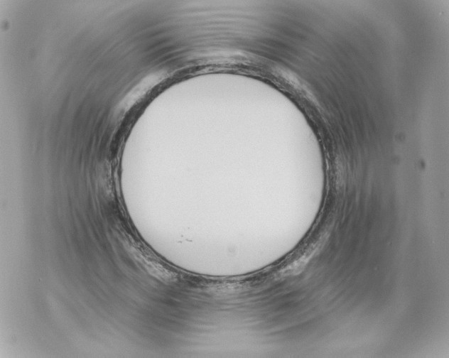 X0000069810970200606161845