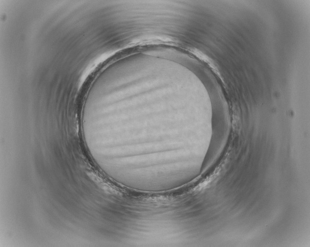 X0000069810973200606161845