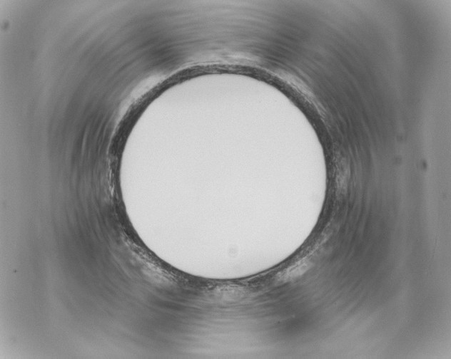 X0000069810974200606161845