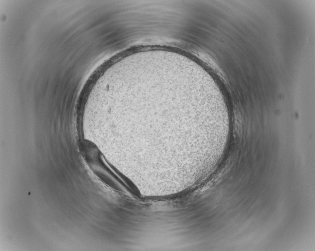 X0000069810976200606161845