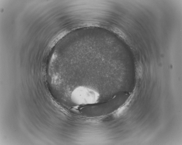 X0000069810977200606161845