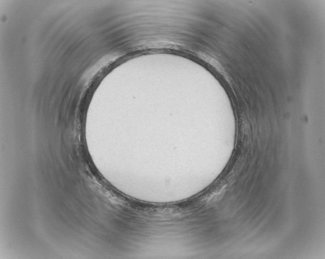 X0000069810979200606161845