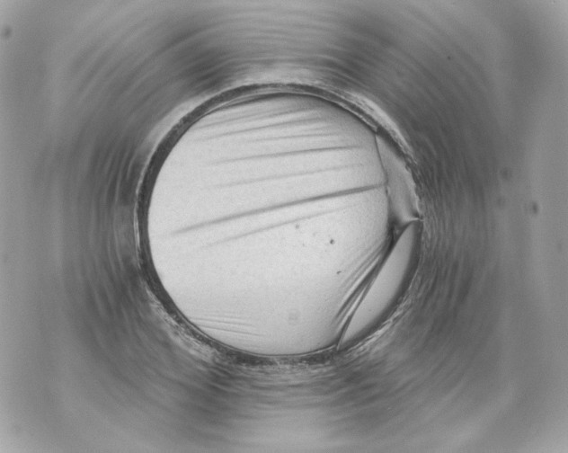 X0000069810980200606161845