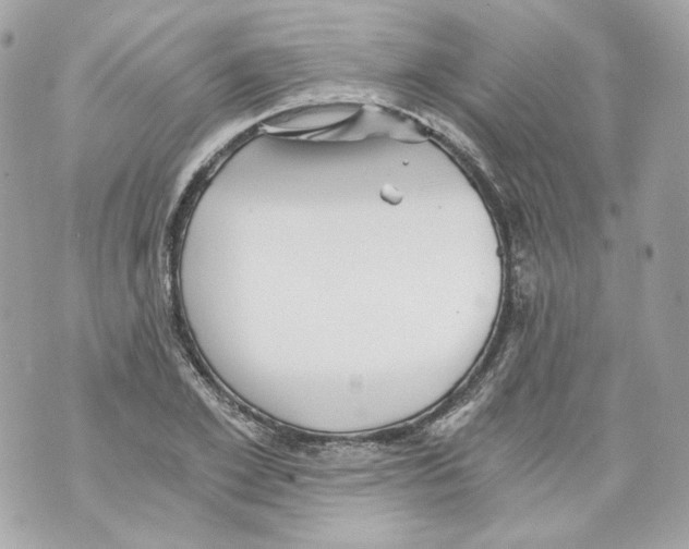 X0000069810981200606161845