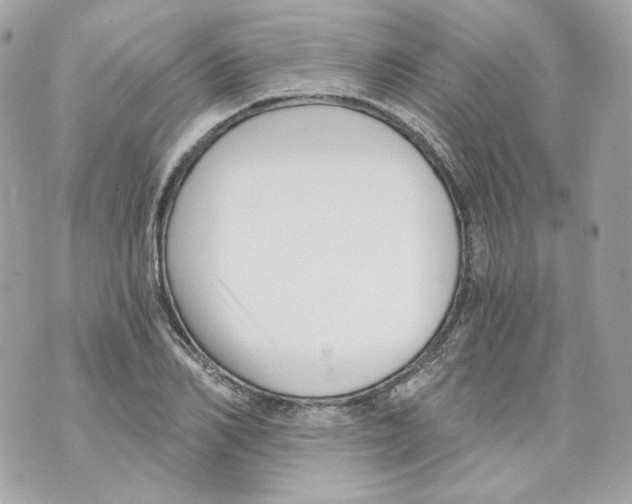 X0000069810982200606161845