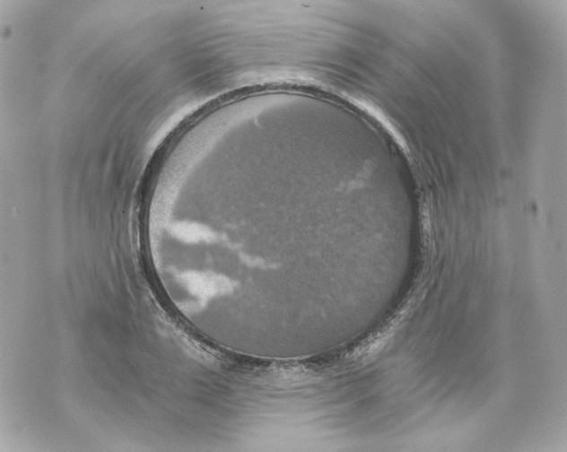 X0000069810983200606161845