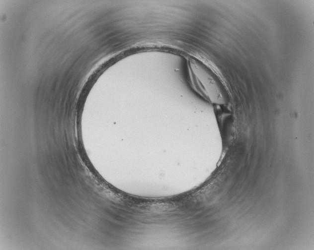 X0000069810984200606161845