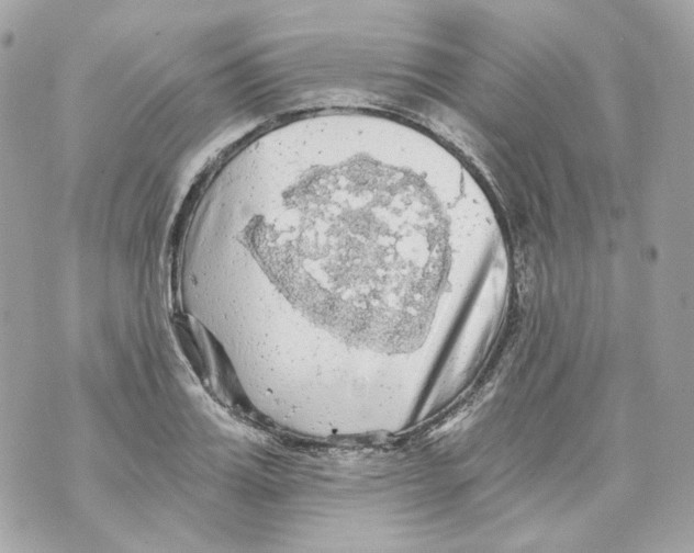 X0000069810987200606161845