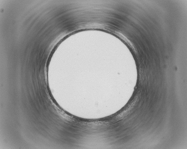 X0000069810988200606161845