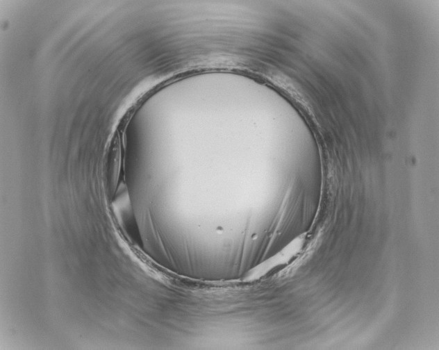 X0000069810989200606161845