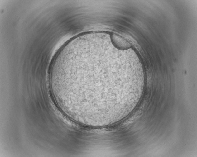 X0000069810990200606161845