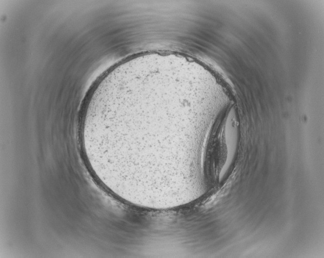 X0000069810991200606161845