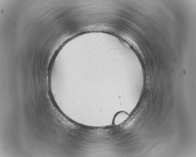 X0000069810992200606161845