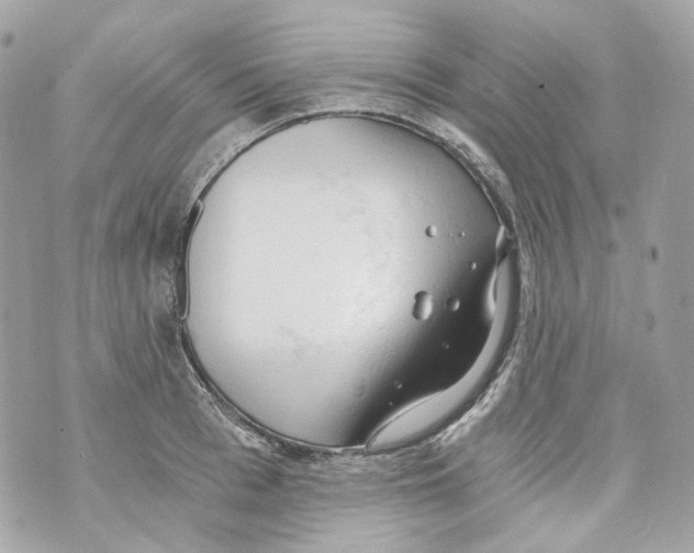 X0000069810993200606161845