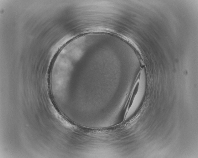 X0000069810995200606161845