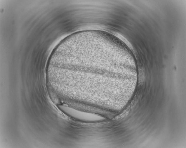 X0000069810996200606161845