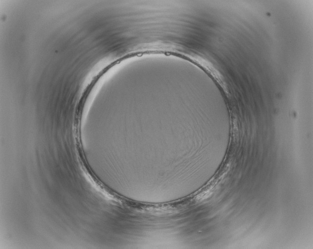 X0000069810998200606161845