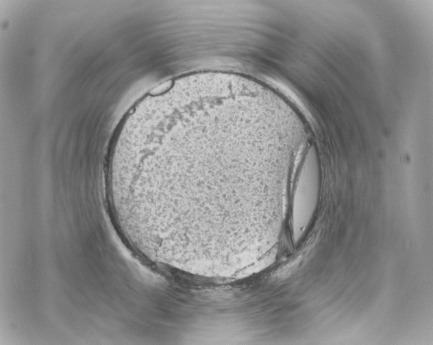 X0000069810999200606161845