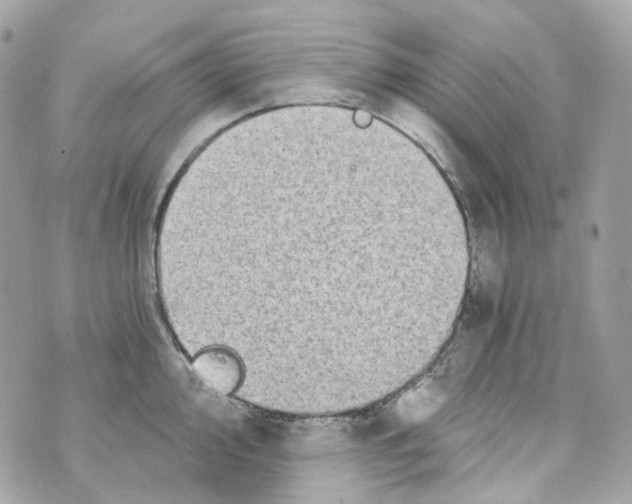 X0000069811000200606161845