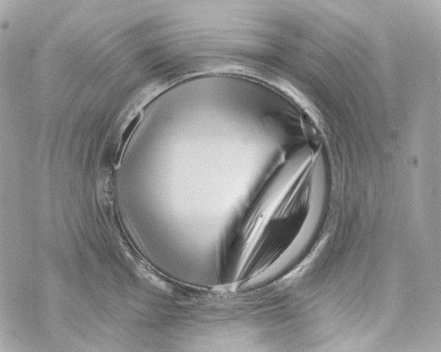 X0000069811001200606161845