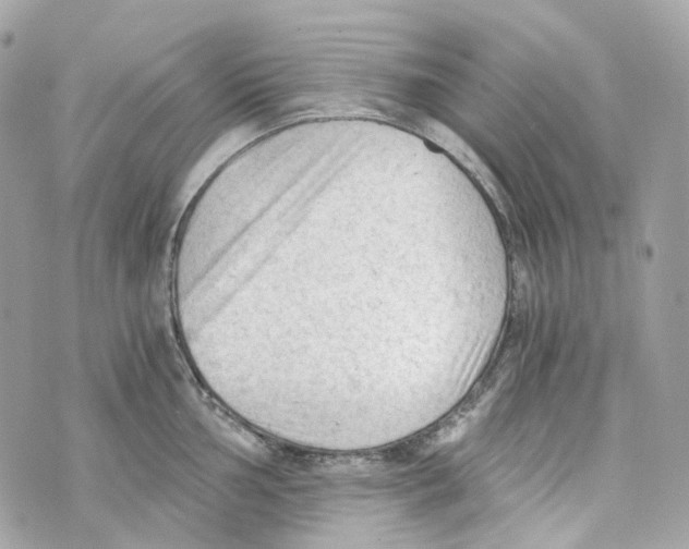 X0000069811002200606161845