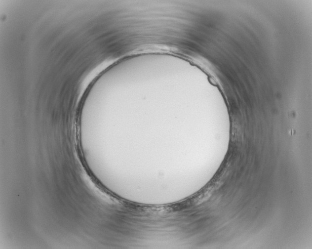 X0000069811003200606161845