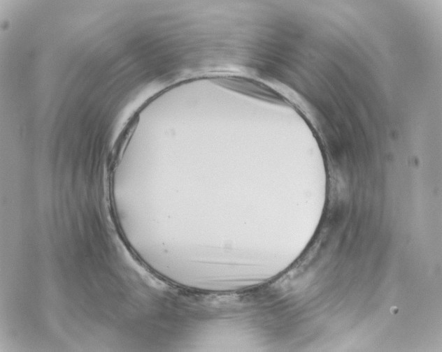 X0000069811006200606161845